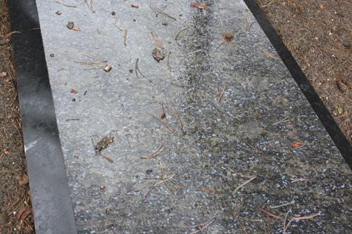 Bestand:Mies Bouhuys 2.jpg