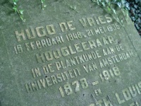 Hugo de Vries 1.jpg