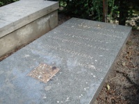 Lex van Delden (senior) 1.jpg