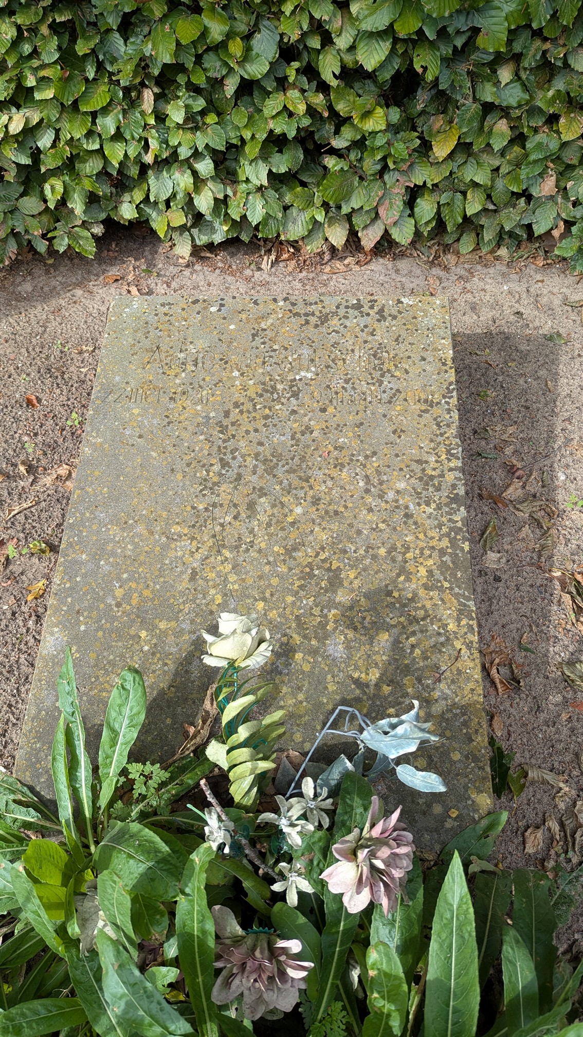 Foto 2
