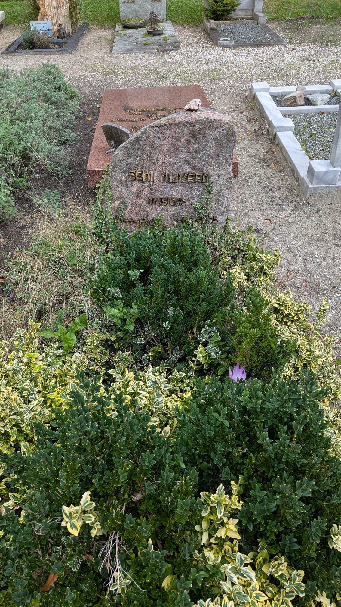 Foto 1